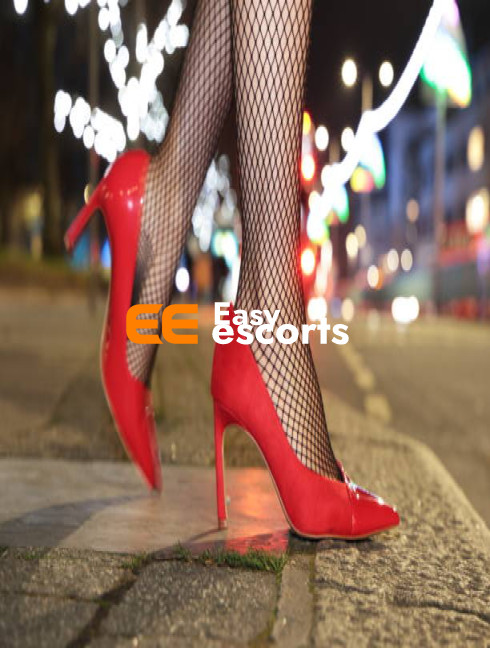 Premium Indore Escort Experience