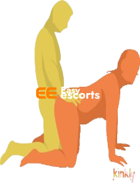 Cash on Delivery Escort 3* 4* 5* Hotels - escort in New Delhi