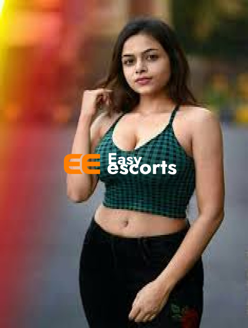 Ambala cantt hotel and home service full sefa and secure today available